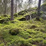 Laidike With Sauna/fireplace, 80 Km Helsinki Prázdninový dům *