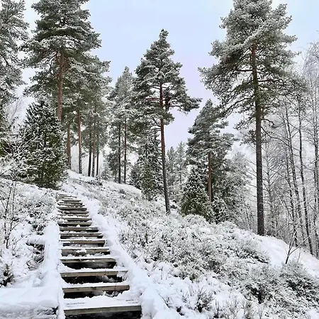 別荘 Laidike With Sauna/fireplace, 80 Km Helsinki *