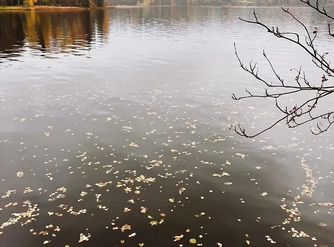 Ferienhaus Laidike With Sauna/fireplace, 80 Km Helsinki *