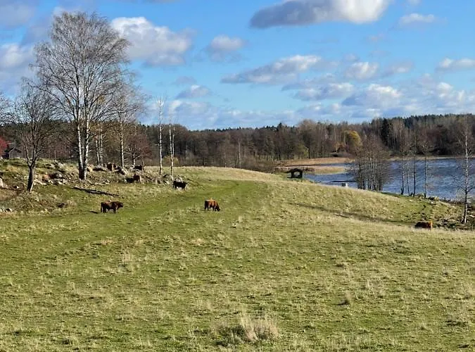 Laidike With Sauna/fireplace, 80 Km Helsinki