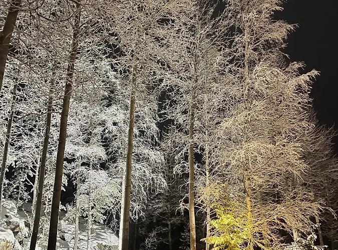 Laidike With Sauna/fireplace, 80 Km Helsinki