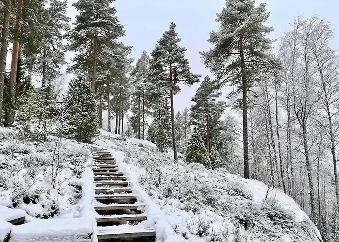 別荘 Laidike With Sauna/fireplace, 80 Km Helsinki *