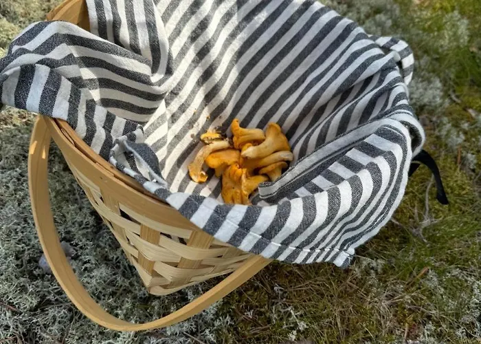 Laidike With Sauna/fireplace, 80 Km Helsinki Semesterbostad Suomusjarvi