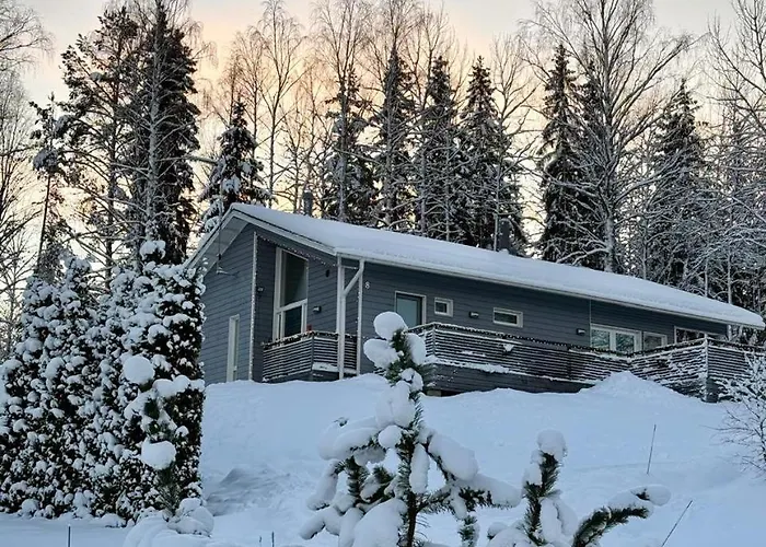 Semesterbostad Laidike With Sauna/fireplace, 80 Km Helsinki