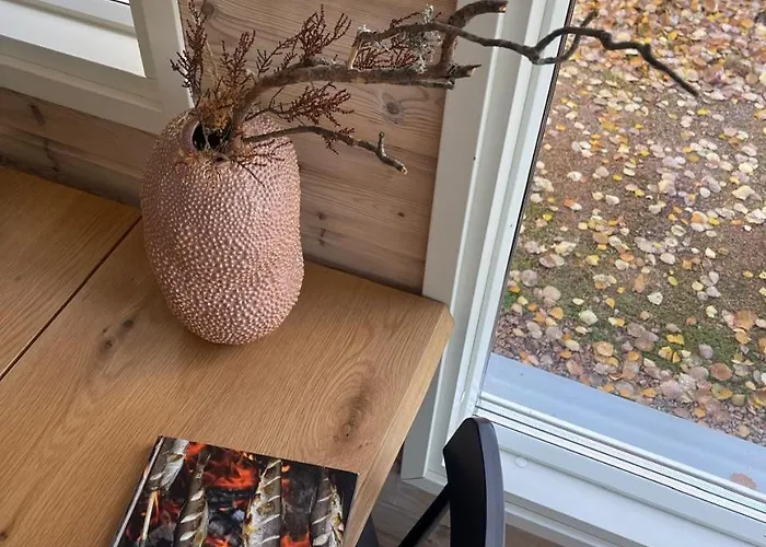 Laidike With Sauna/fireplace, 80 Km Helsinki 別荘 *